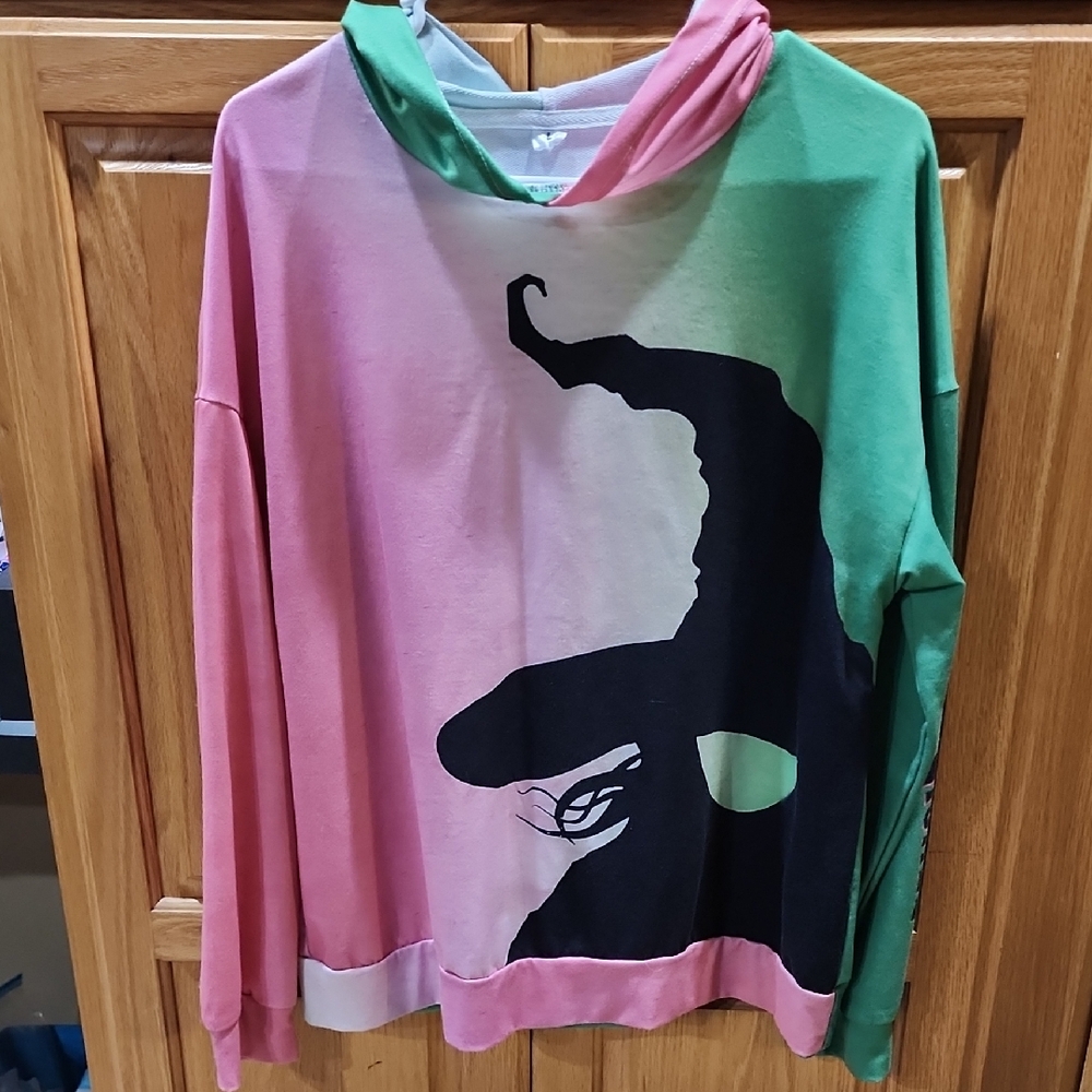 Broadway Wicked Light Hoodie